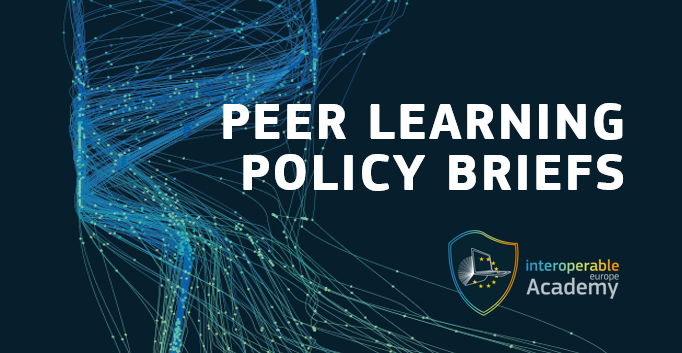 Peer Learning Policy Briefs 