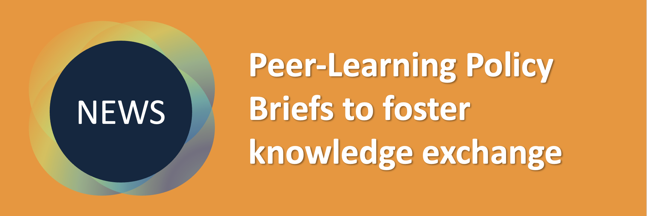 Peer-Learning Policy Briefs Banner