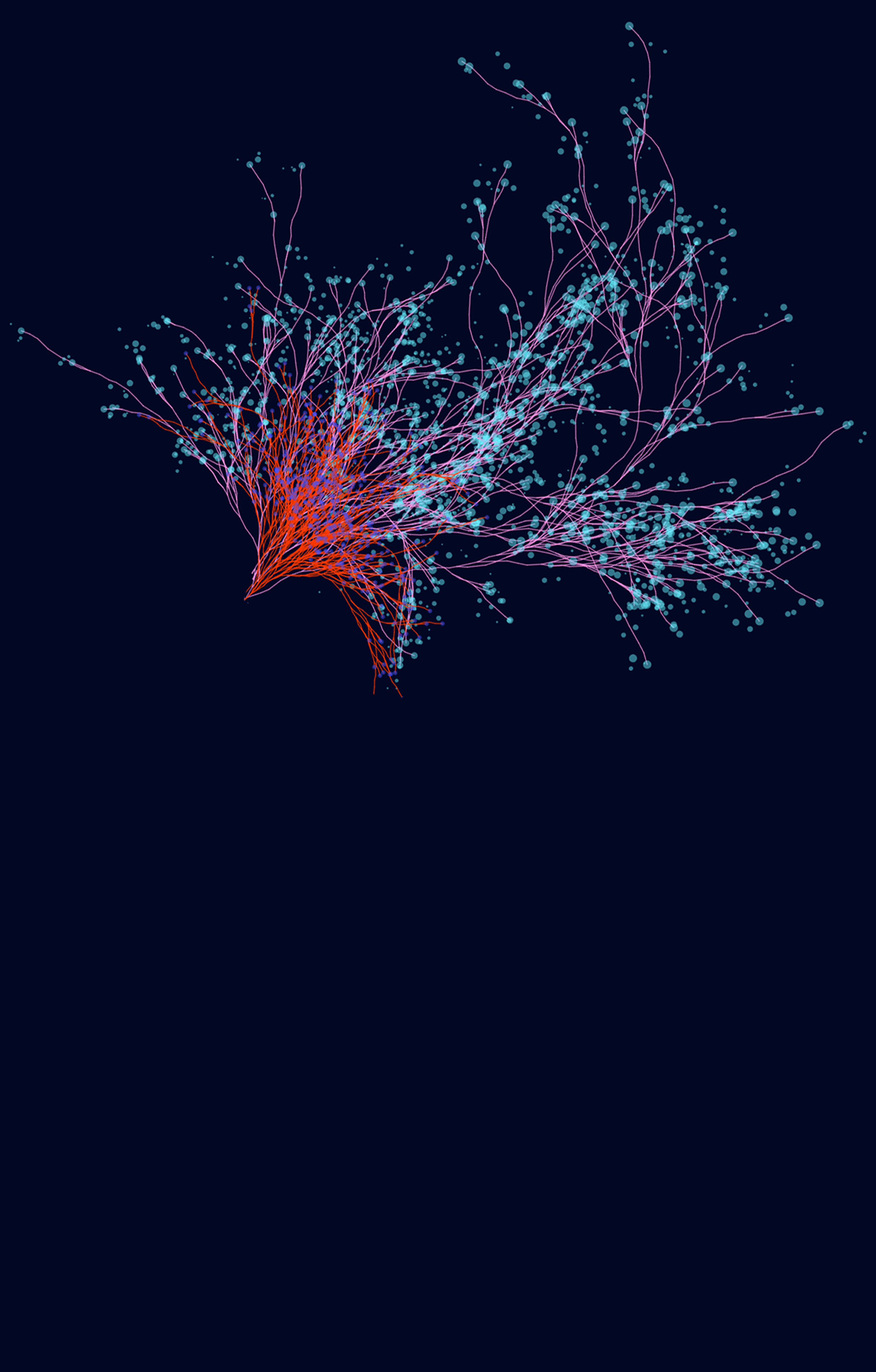 A cluster of lines connecting small dots like a neural network.