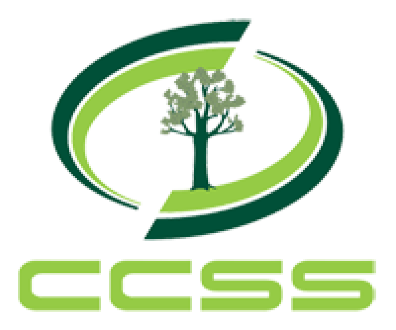ccss