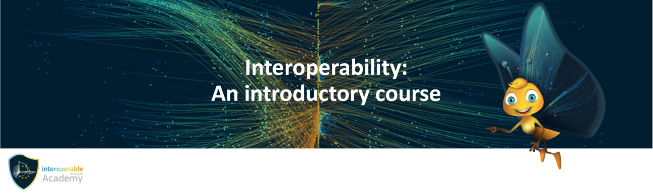 Interoperability: An introductory course