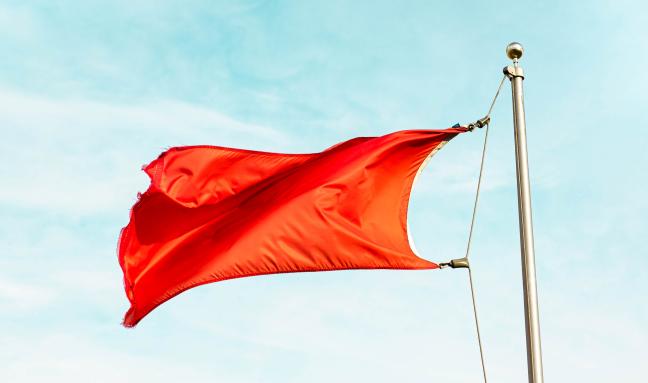 Red Flags by Carson Masterson
