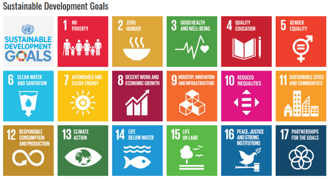 17 Sustainable Development goals