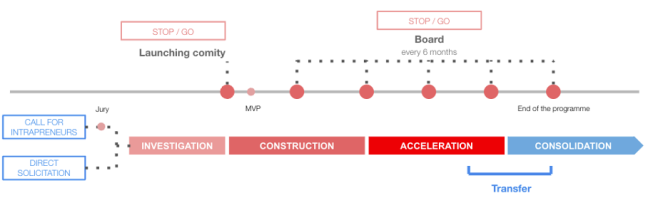 Illustration the incubation program diagram