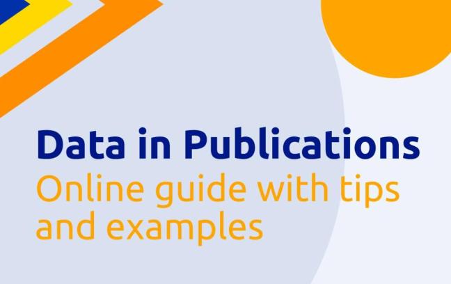 data in publications online guide logo