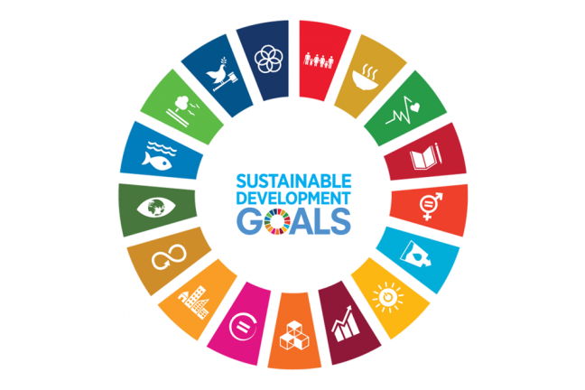 Visual representation of 17 sustainable development goals (SDGs) with a wheel that reads "Sustainable Development Goals" in the center