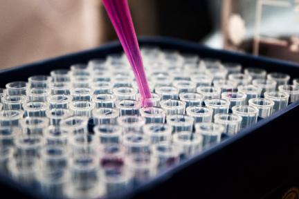 Photo of test tubes