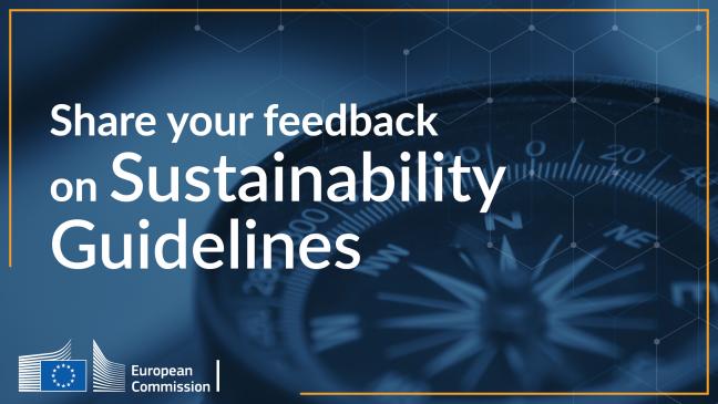 Feedback Guidelines